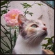 Img 20151203 152425 micro